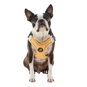 Gooby Memory Foam Step In Dog Harness