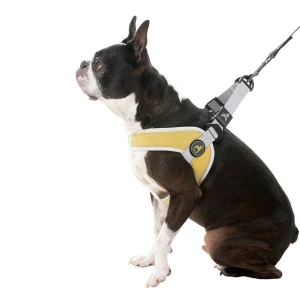 Gooby Simple Step In Dog Harness III