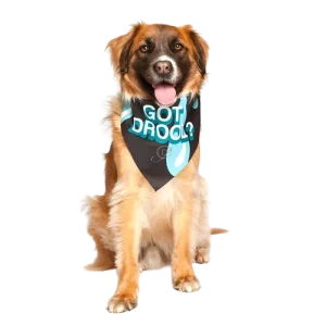 "Got Drool?" Dog Bandana by Dog Fashion Living