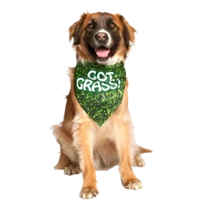 "Got Grass?" Dog Bandana by Dog Fashion Living
