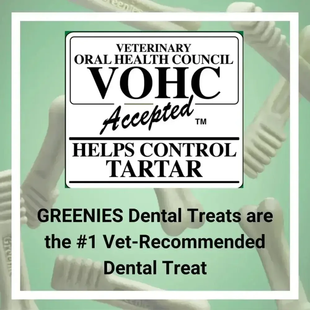 GREENIES Sweet Potato Flavored Dental Treats