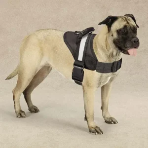 Guardian Gear Excursion Harness SMALL 15-19In Black