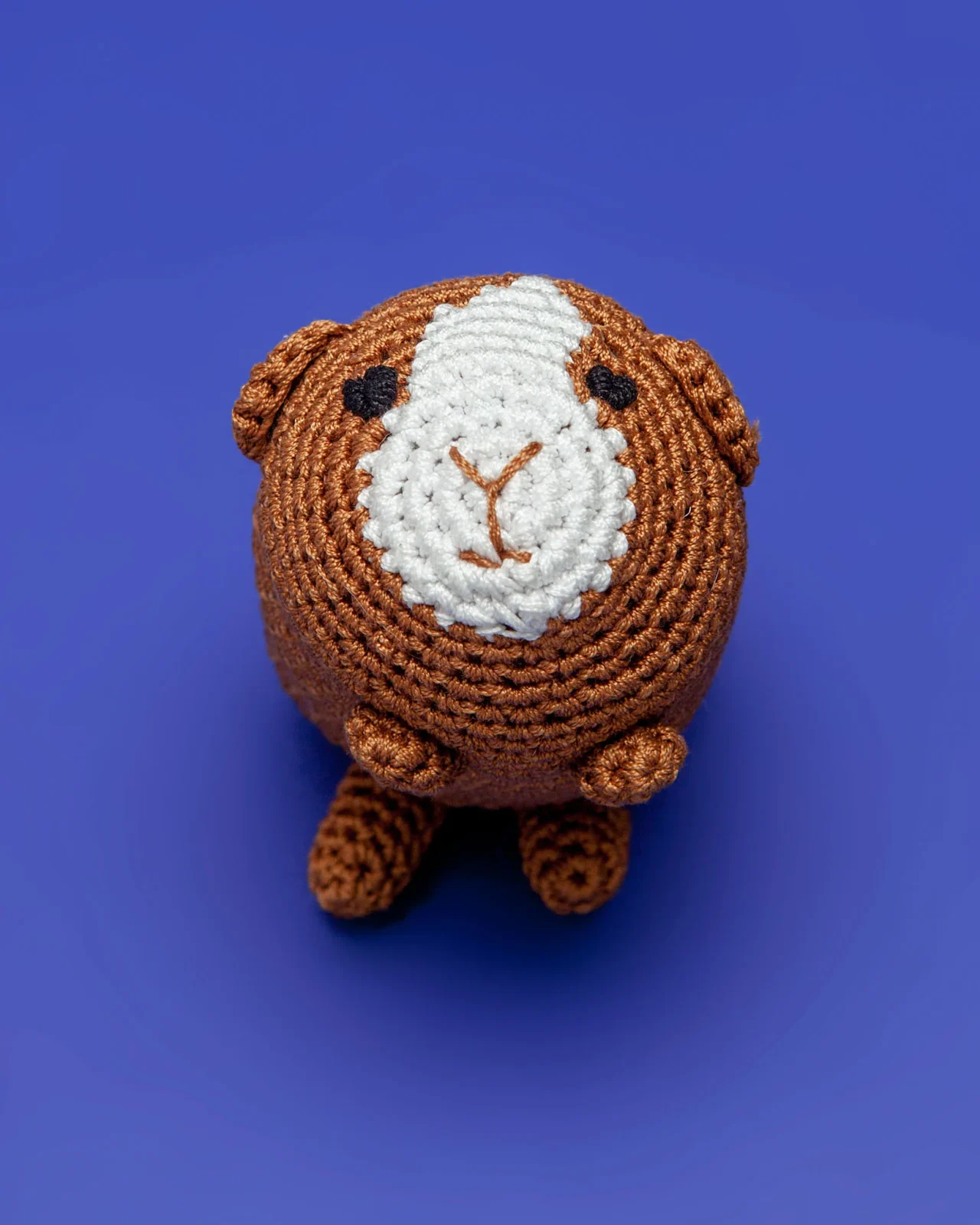Guinea Pig Organic Knit Dog Toy
