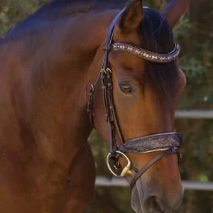 Halter Ego® Aspen Snaffle Bridle