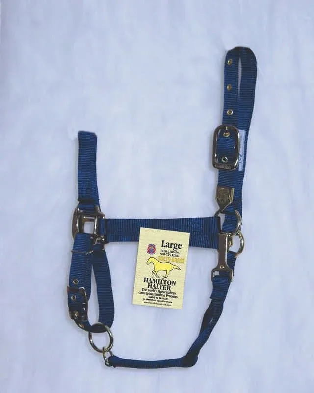 Hamilton Halter Adjustable Chin/Snap Yearling Blue - Image 2
