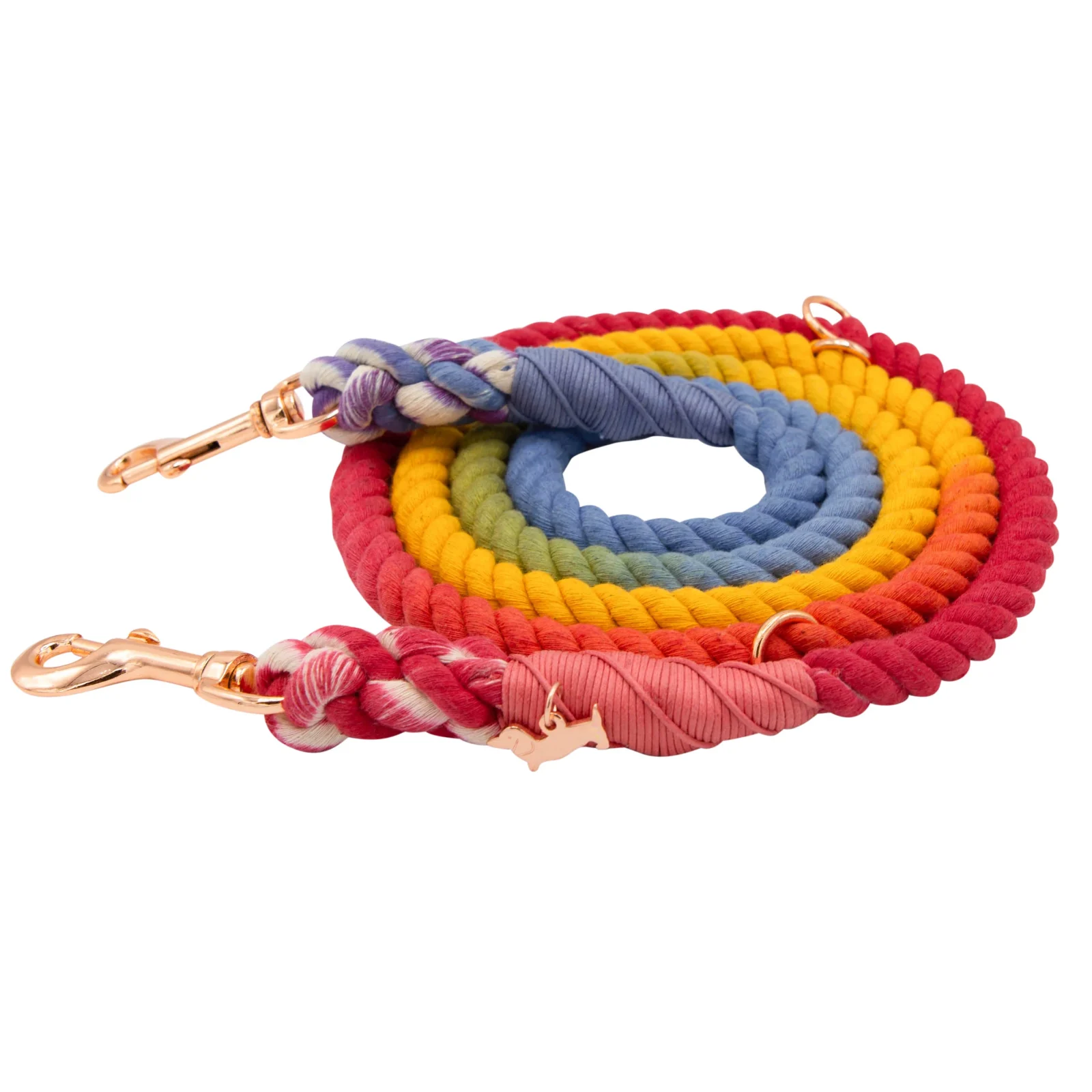 Hands-Free Rope Leash - Taste the Rainbow - Image 2