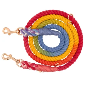 Hands-Free Rope Leash - Taste the Rainbow
