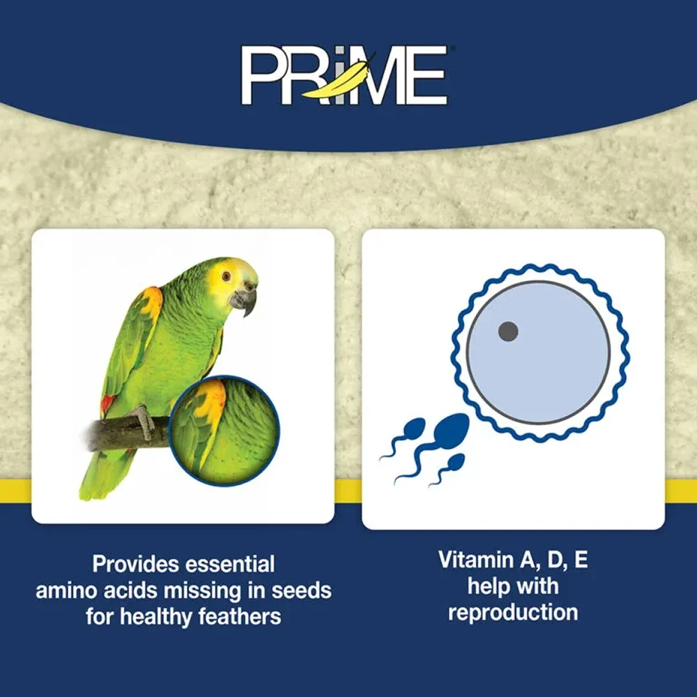 Hari Prime Vitamin Supplement - Image 2