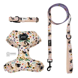 Harness Three Piece Bundle - Disney's Pocahontas