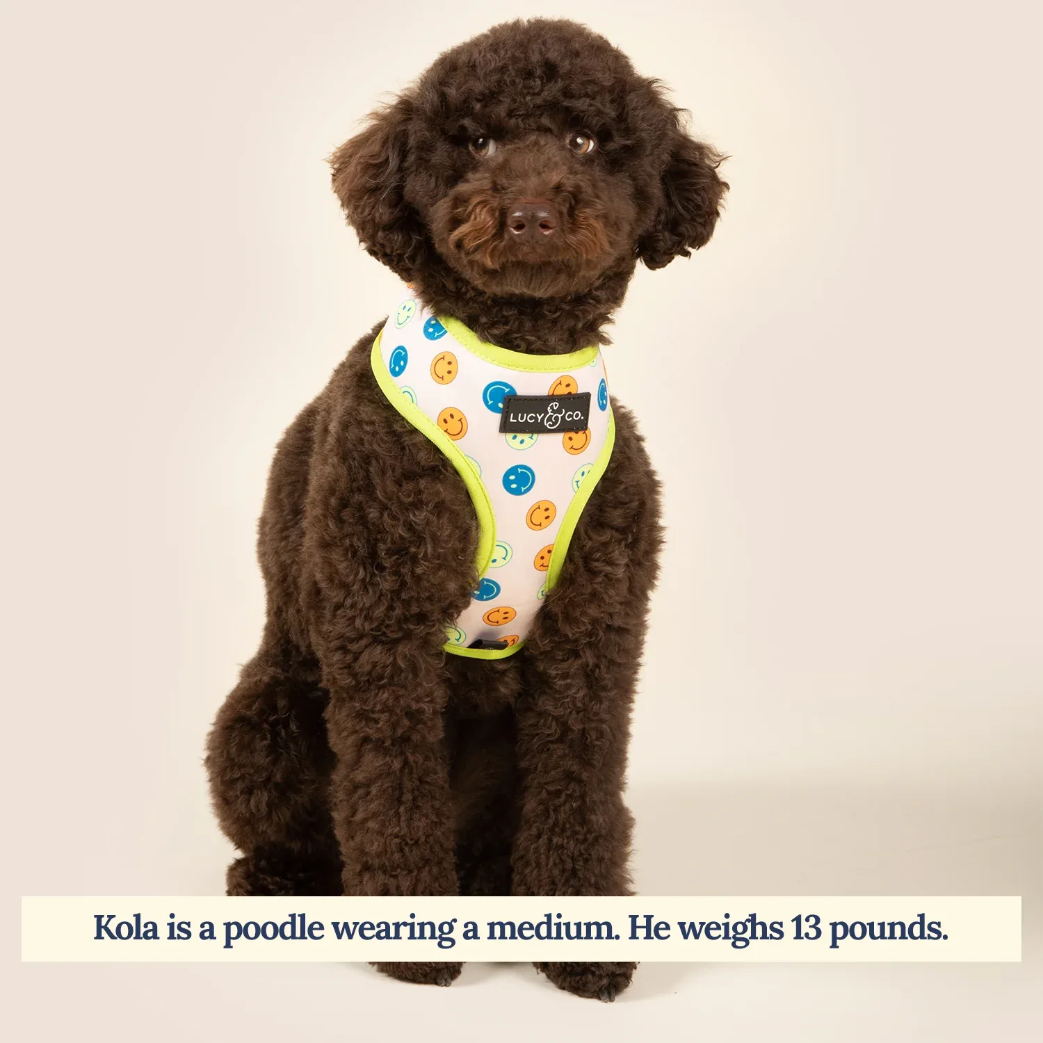 Have a Nice Day Reversible Harness - Image 2
