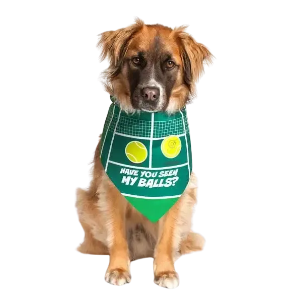 "Have You Seen My Balls?" Dog Bandana by Dog Fashion Living