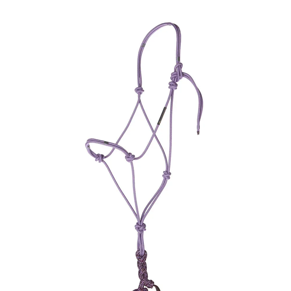 Haychix Timeless Light Purple Halter with Be Mine Lead Rope - Image 2