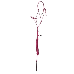 Haychix Timeless Rose Quartz Halter with Pink Lead Rope