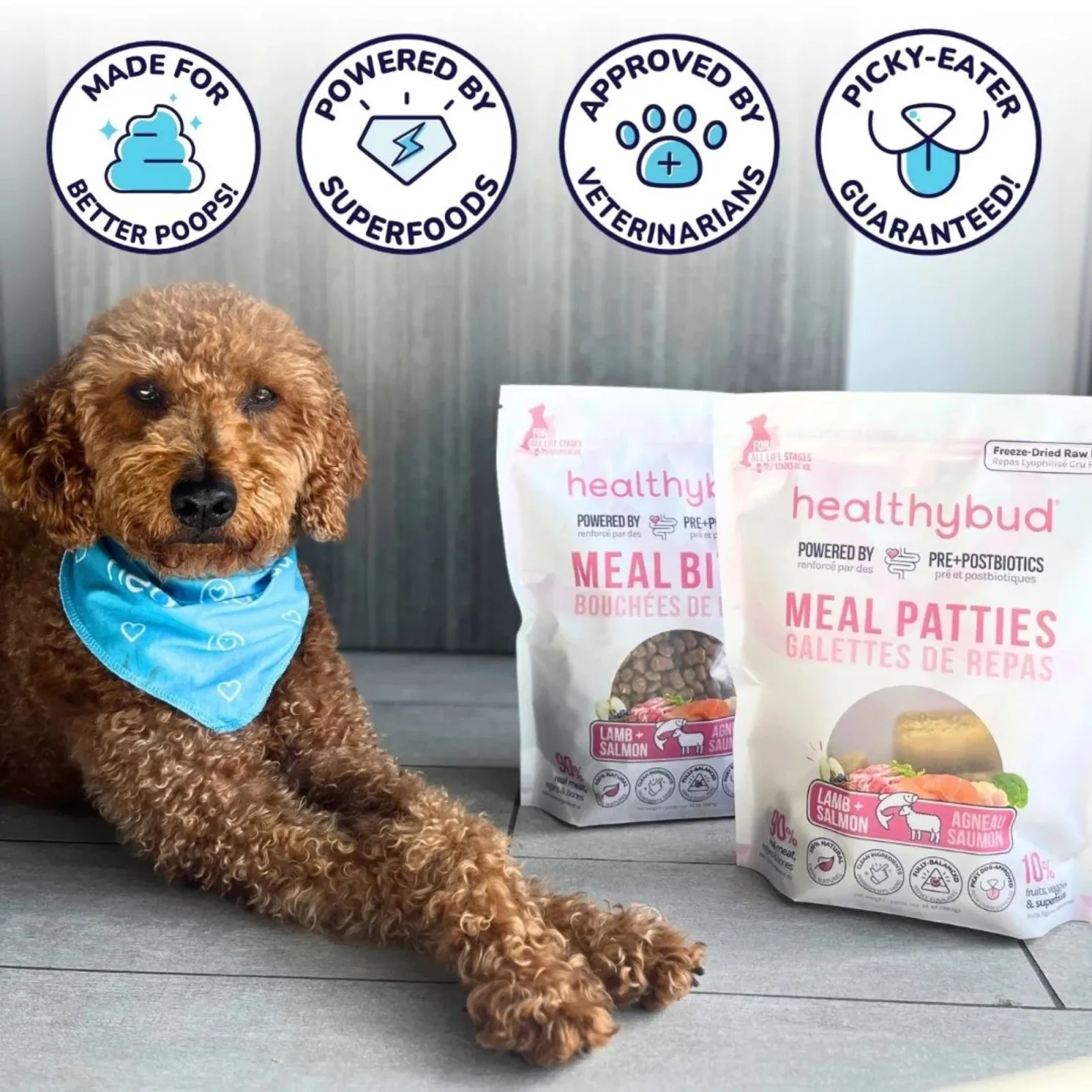 Healthy Bud Dog Freeze-dried 14oz. Lamb Salmon Patties - Image 2