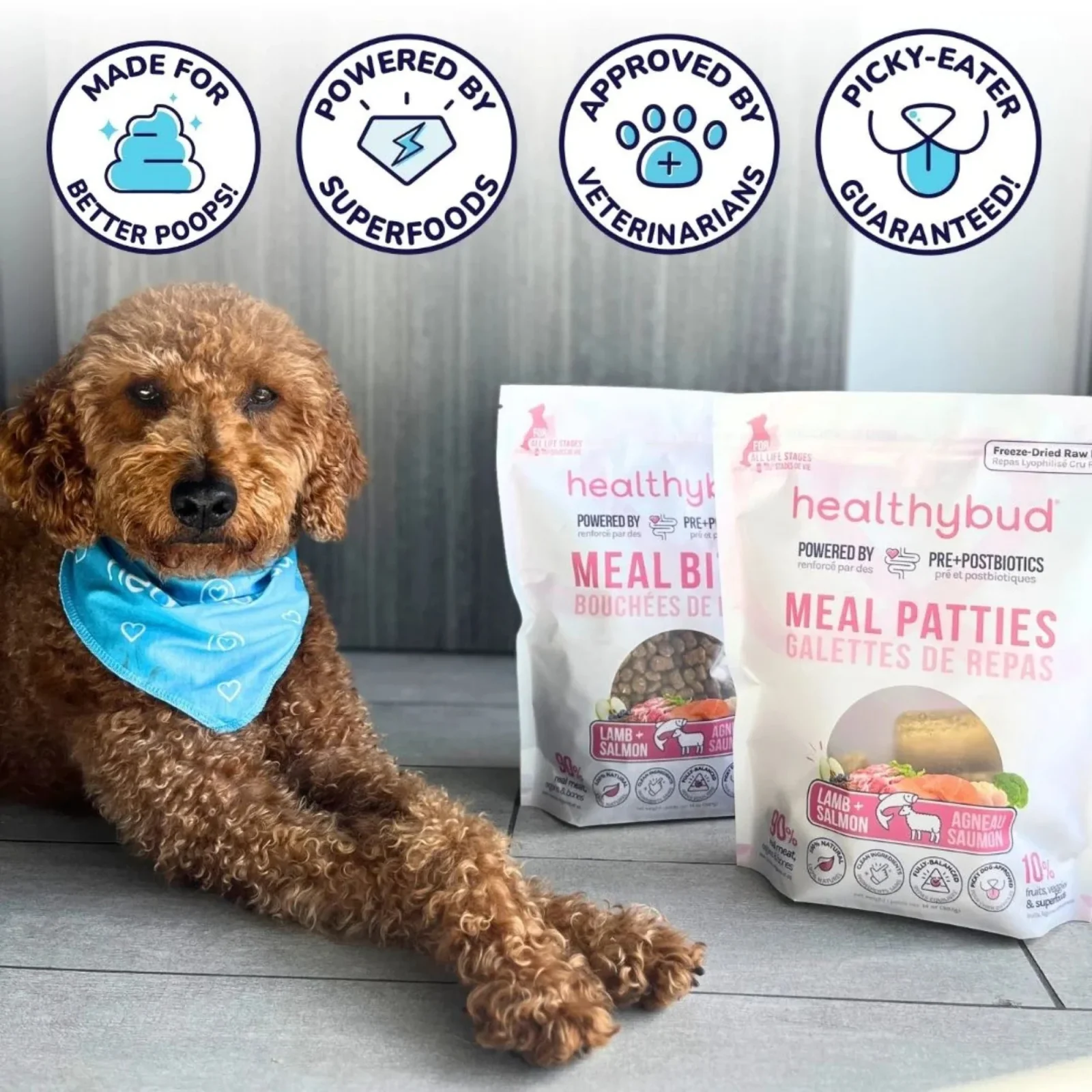 Healthy Bud Dog Freeze-dried 14oz. Lamb Salmon Patties - Image 2