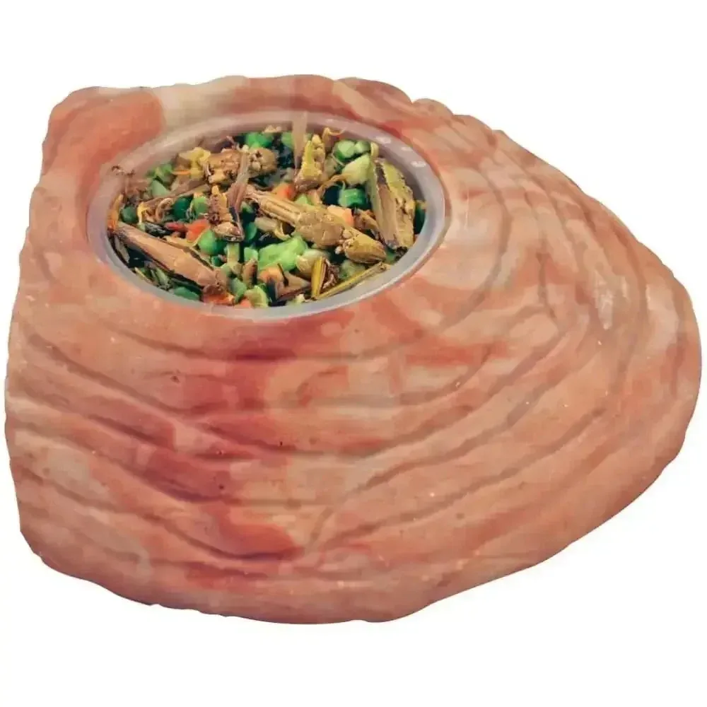 Healthy Herp Stepping Stone Feeding Dish - LG