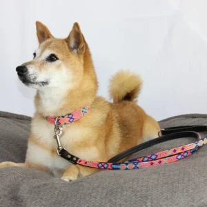 HEKA PET | Coral Woven Leather Leash