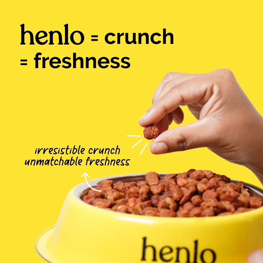 Henlo Starter Pack | Complete High Protein Dog Diet - Image 2