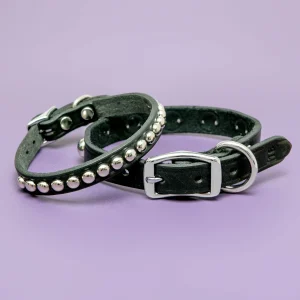 Hey Stud Black Leather Dog Collar (Made in the USA) (FINAL SALE)