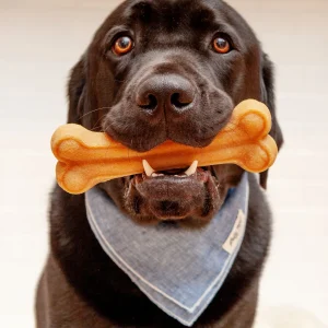 Himalayan Dog Chew Bone