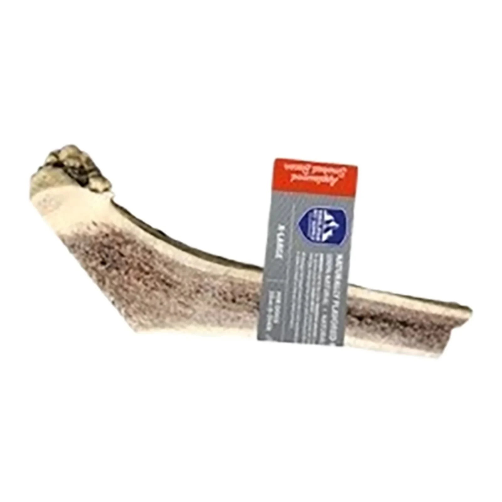 Himalayan Dog Red Tail Deer Split Antler, Applewood Bacon, Extra Large