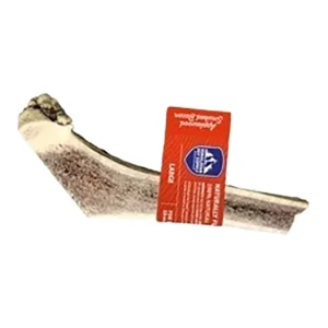 Himalayan Dog Red Tail Deer Split Antler, Applewood Bacon, Large
