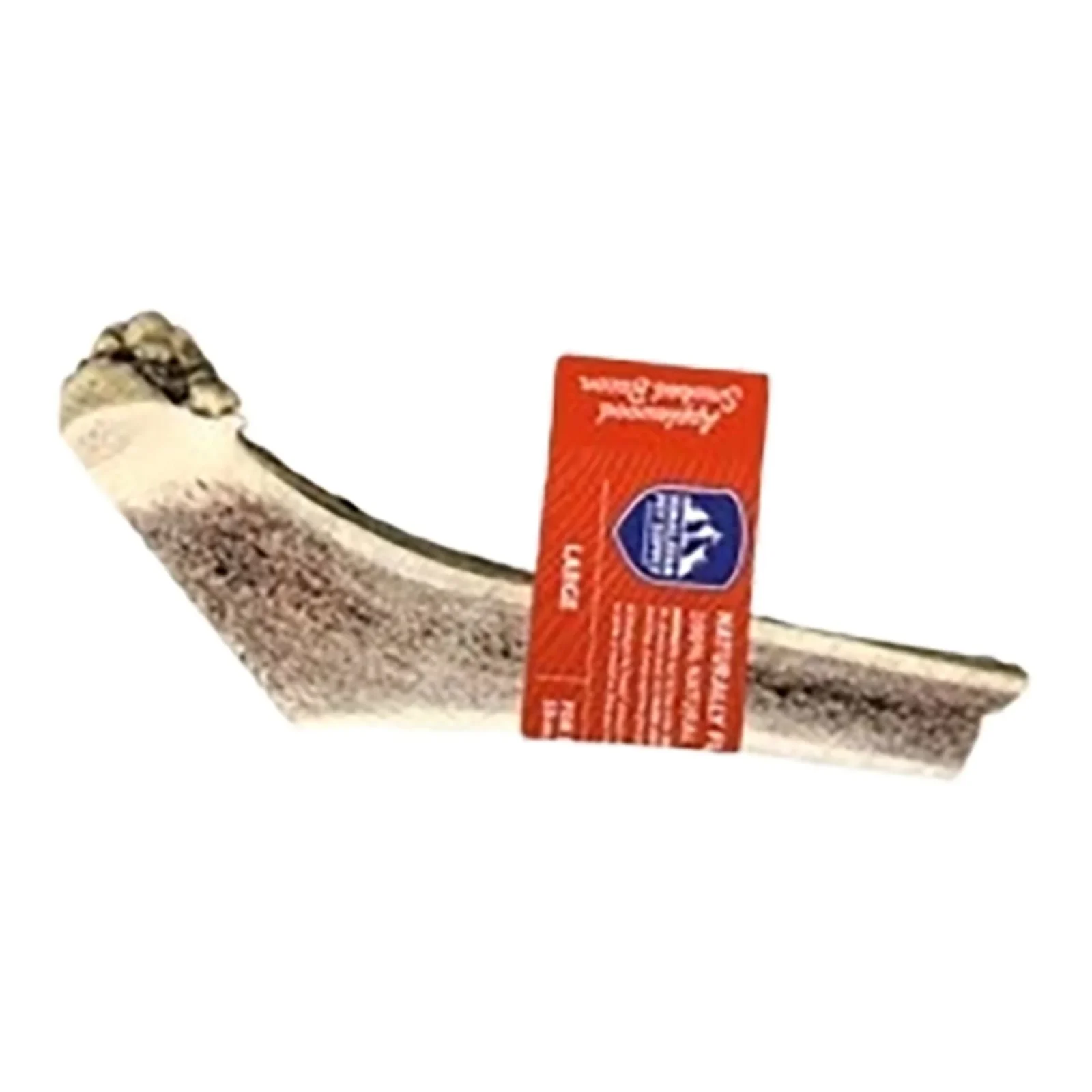 Himalayan Dog Red Tail Deer Split Antler, Applewood Bacon, Large