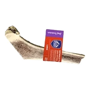 Himalayan Red Tail Deer Split Antler, Beef Tenderloin, Large