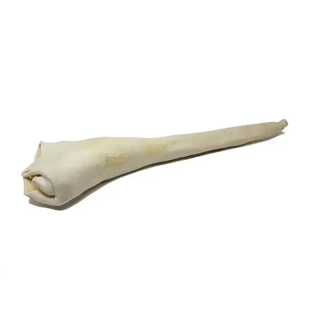 Home Range High-Protein Bull Tail Dog Chew