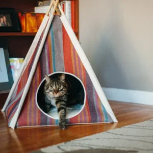 Horizon Pet Teepee in Desert Stripe (Drop-Ship)