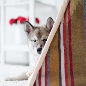 Horizon Pet Tent in Woodland (Direct-Ship)