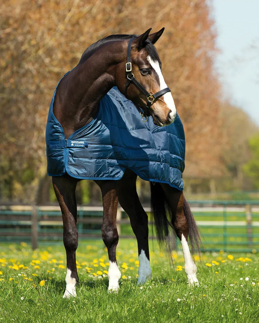 Horseware® Ireland 100 Gram Blanket Liner