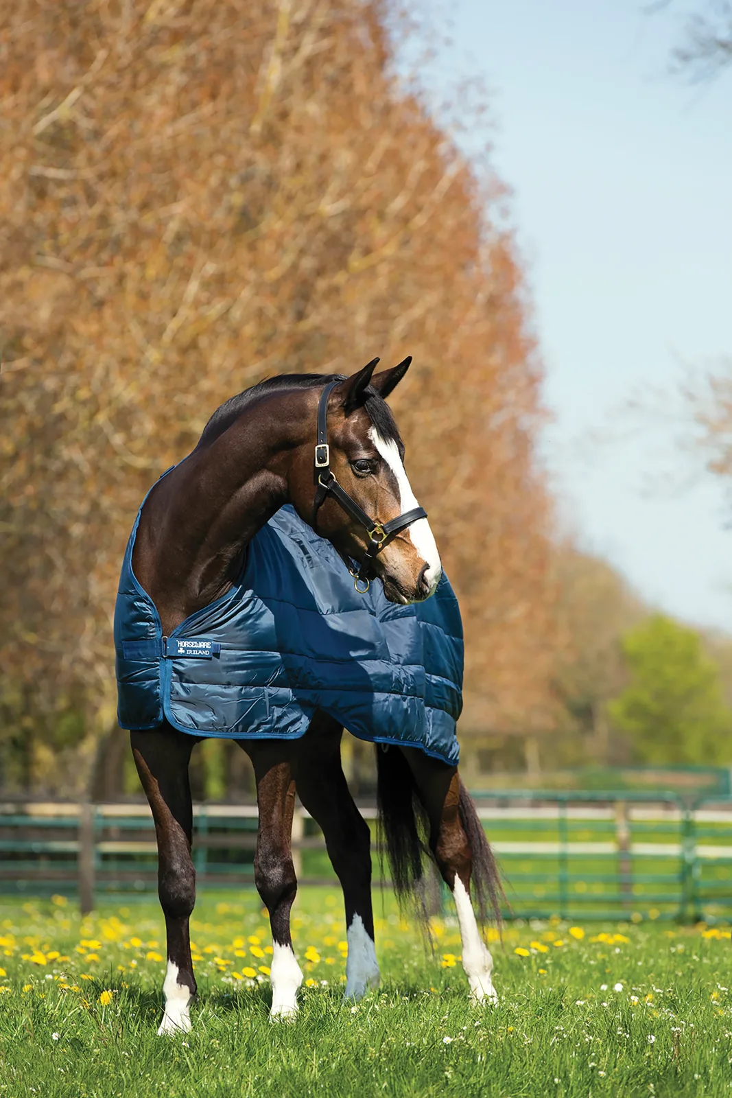 Horseware® Ireland 100 Gram Blanket Liner - Image 2