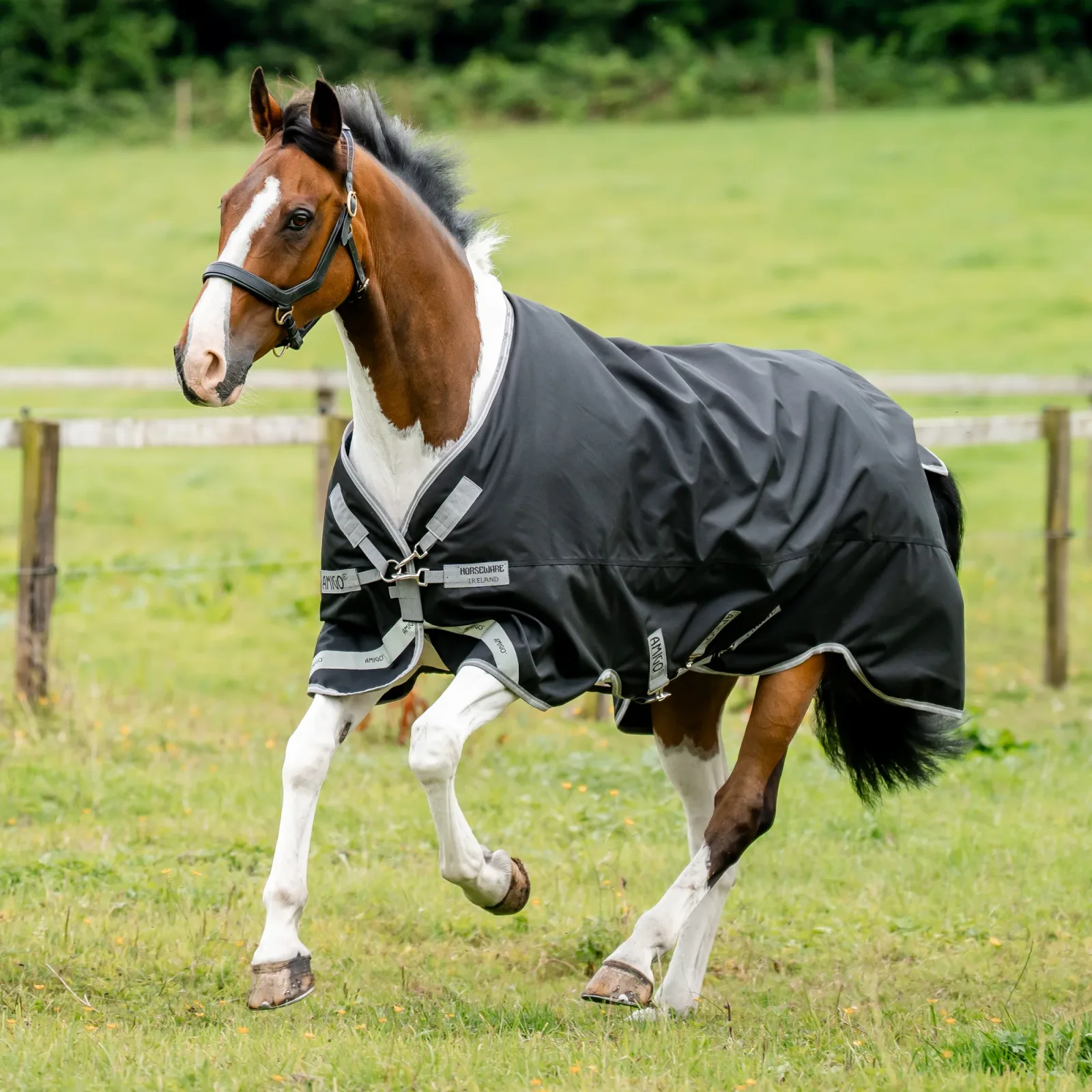 Horseware® Ireland Amigo® 1200D Turnout Standard Neck - Image 2