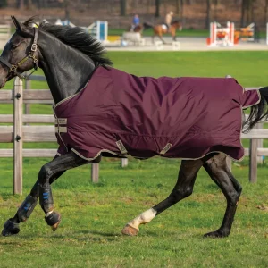 Horseware® Ireland Amigo® Hero RipStop Lite Turnout - 100 grams