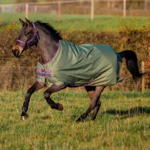 Horseware Ireland Amigo Hero Ripstop Plus Lite 0g