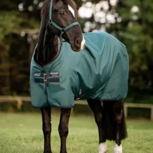Horseware® Ireland Amigo® Ripstop 900D 100 Gram Standard Neck Pony Turnout–Seasonal Color