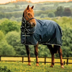 Horseware® Ireland Amigo® Ripstop 900D 200 Grams Plus Pony Turnout
