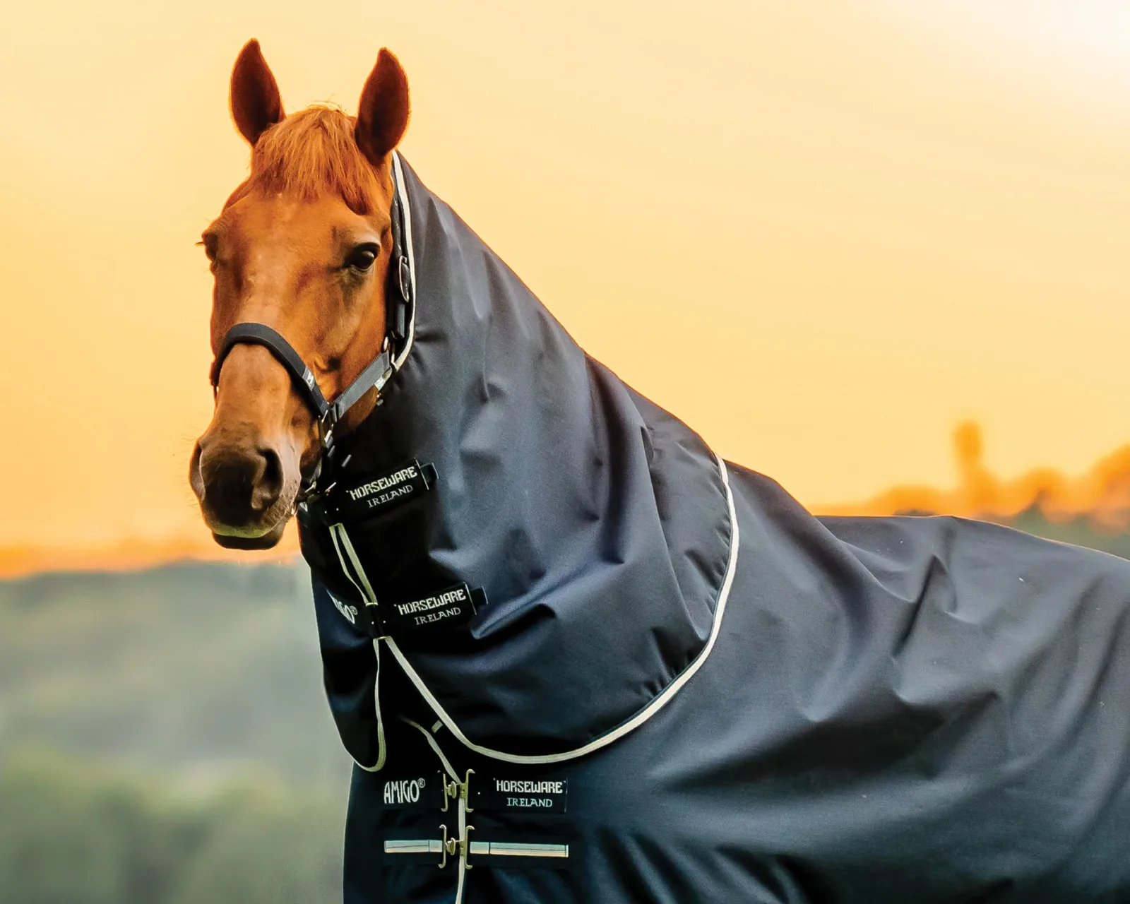 Horseware® Ireland Amigo® Ripstop 900D 200 Grams Plus Turnout - Image 2
