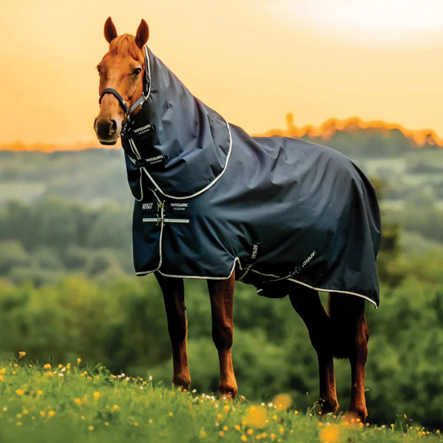 Horseware® Ireland Amigo® Ripstop 900D 200 Grams Plus Turnout