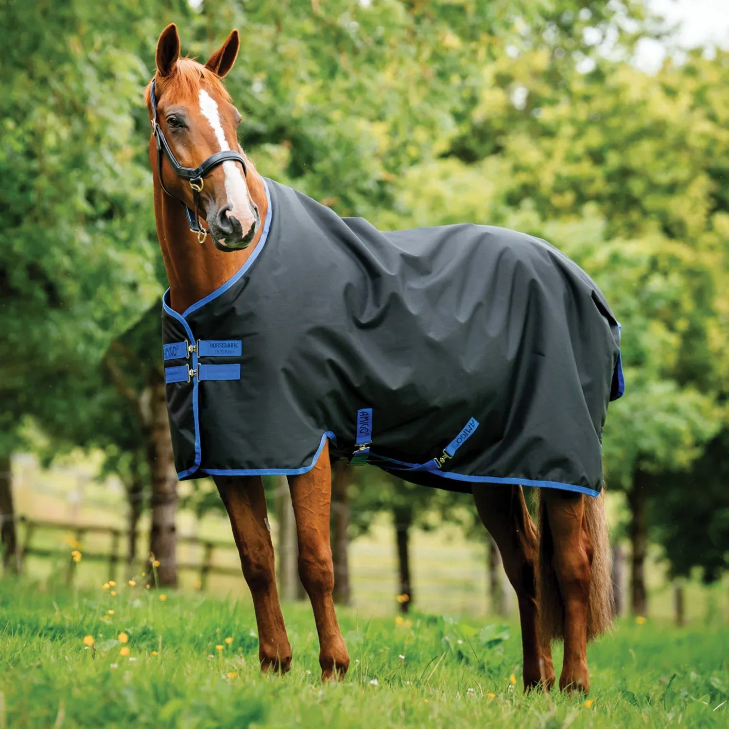 Horseware® Ireland Amigo® Ripstop 900D 50 Gram Standard Neck Turnout