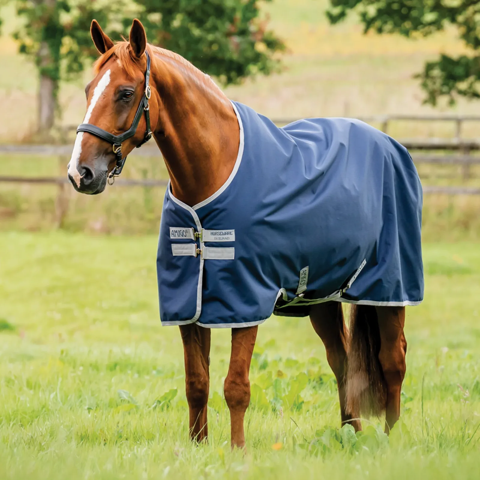 Horseware® Ireland Amigo® Ripstop 900D 50 Gram Standard Neck Turnout - Image 2