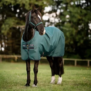 Horseware Ireland Amigo Ripstop 900D Turnout 100g