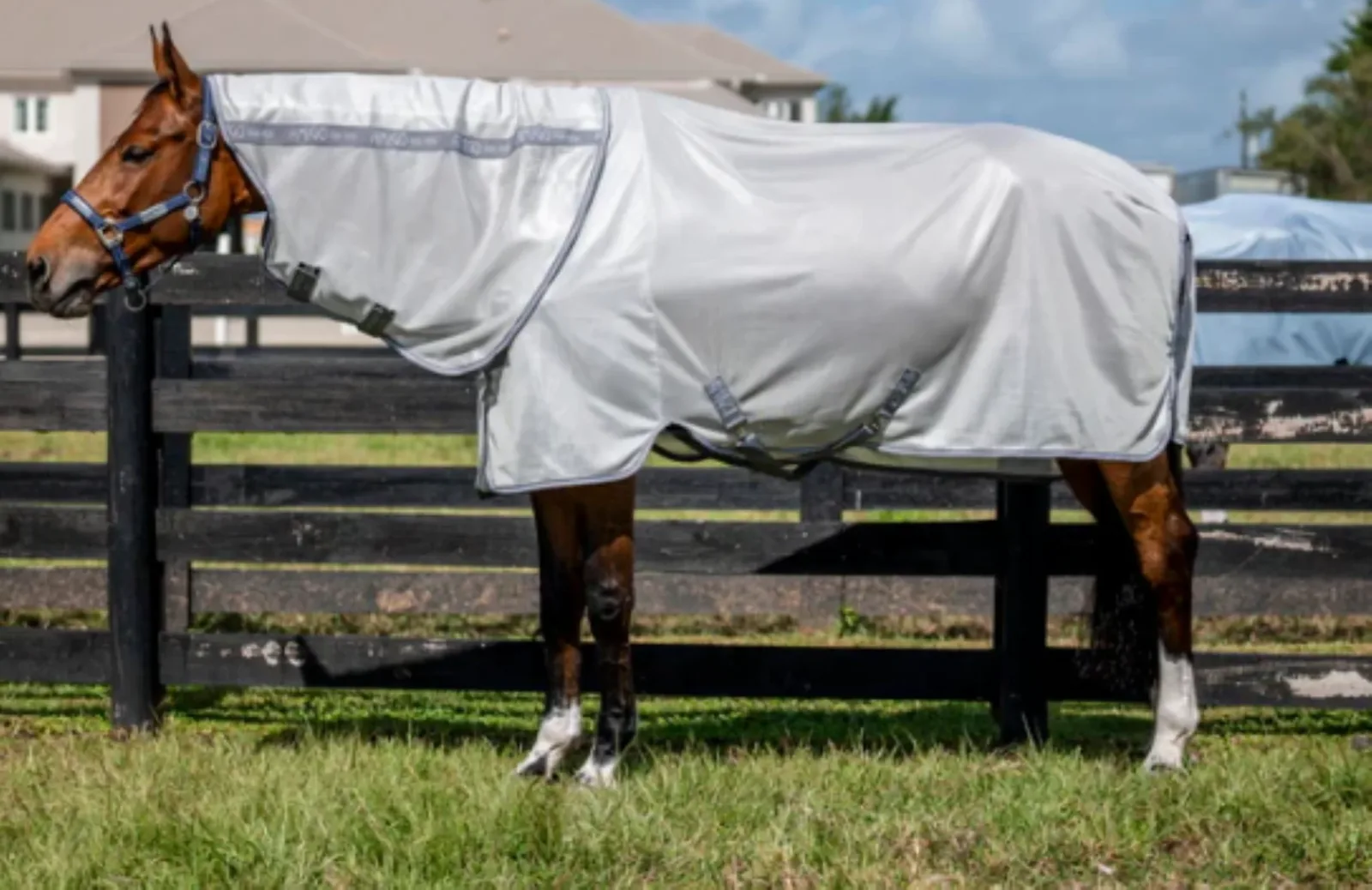 Horseware Ireland Amigo Silver and Titanium Grey Integrated Fly Sheet