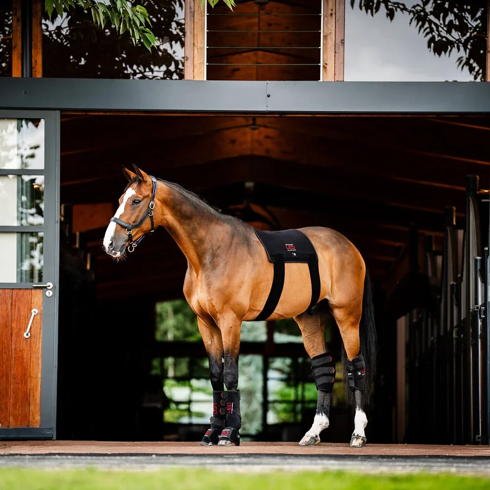 Horseware Ireland LED Red Light Therapy Pad - Image 2