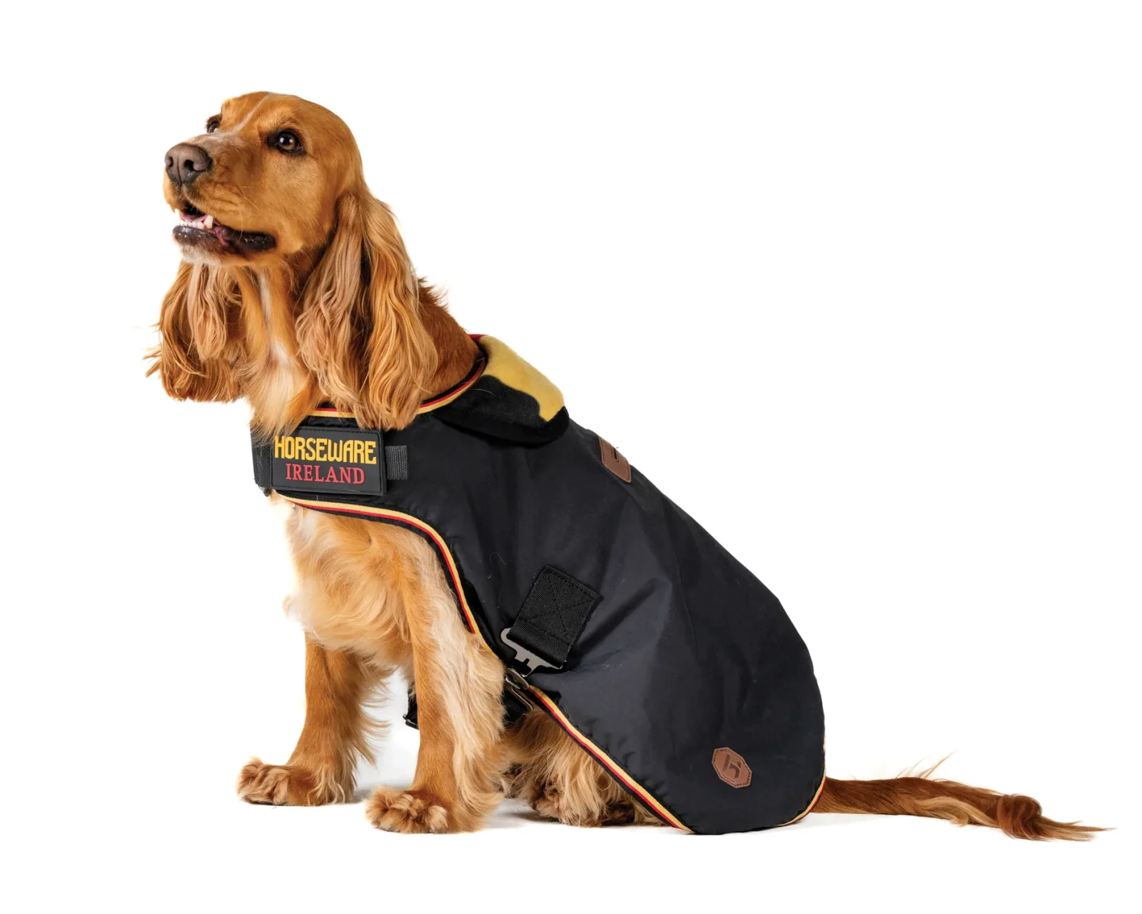 Horseware® Ireland Newmarket Dog Coat XXS-M - Image 2