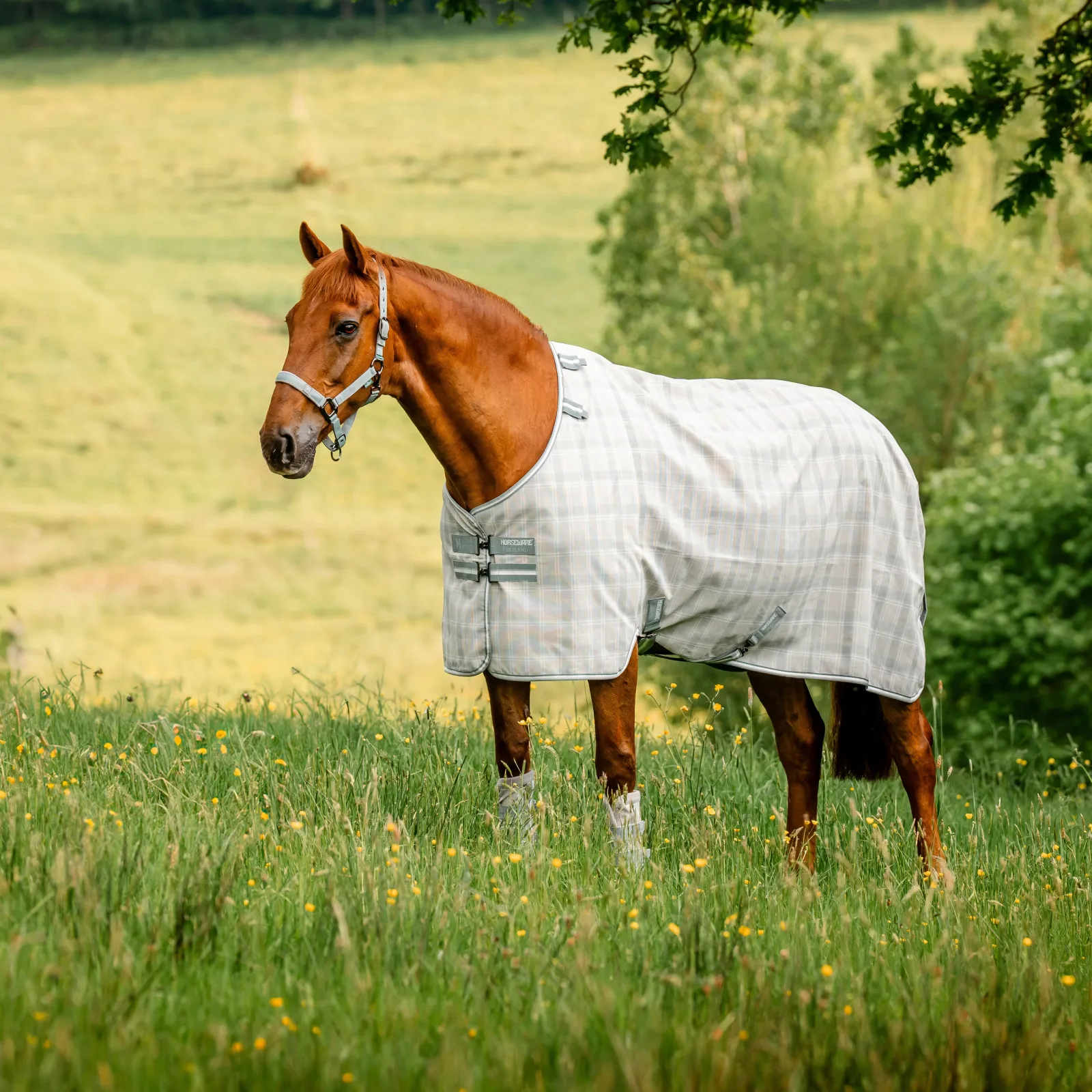 Horseware Ireland Newmarket Witney Charcoal Fly Sheet - Image 2