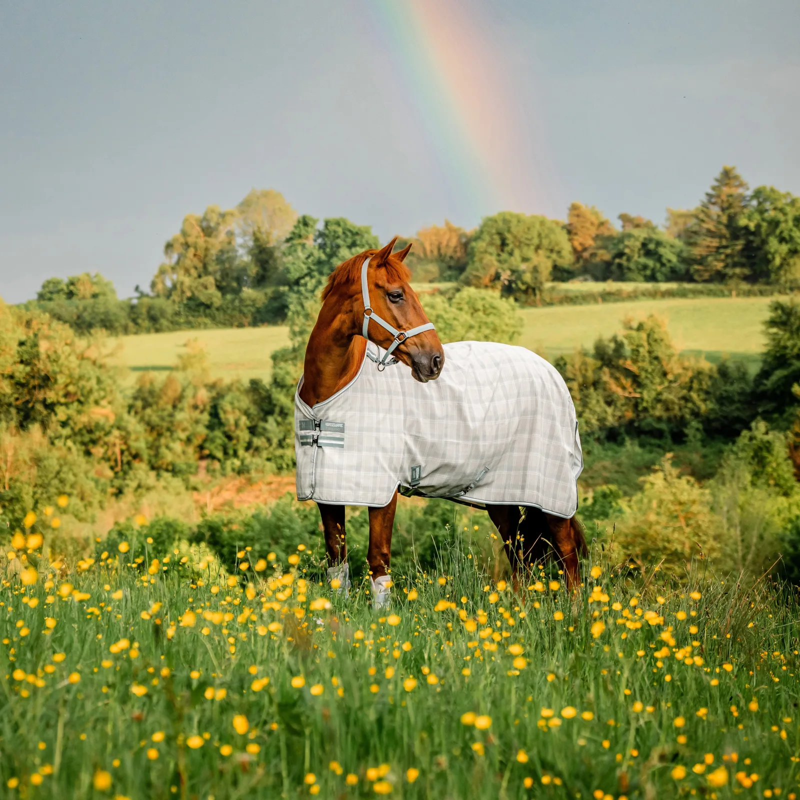 Horseware Ireland Newmarket Witney Charcoal Fly Sheet