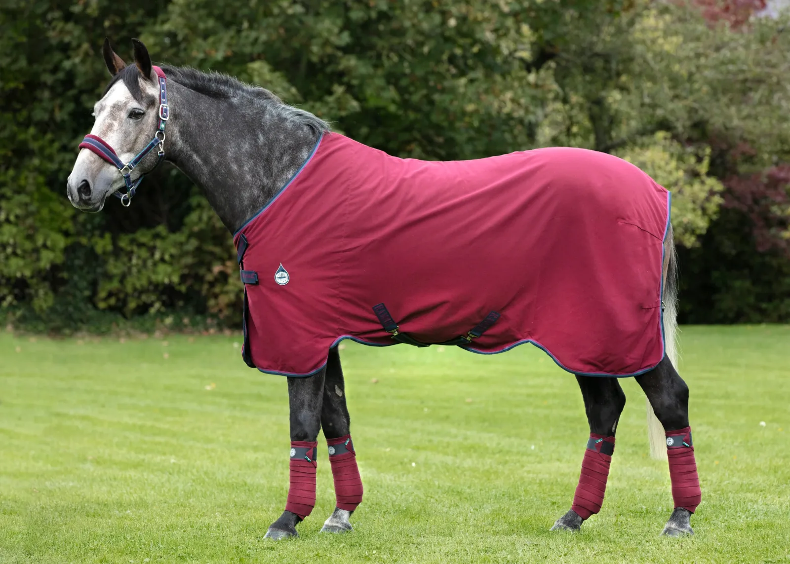 Horseware® Ireland Rambo® Helix Stable Sheet with Disc Front Closure