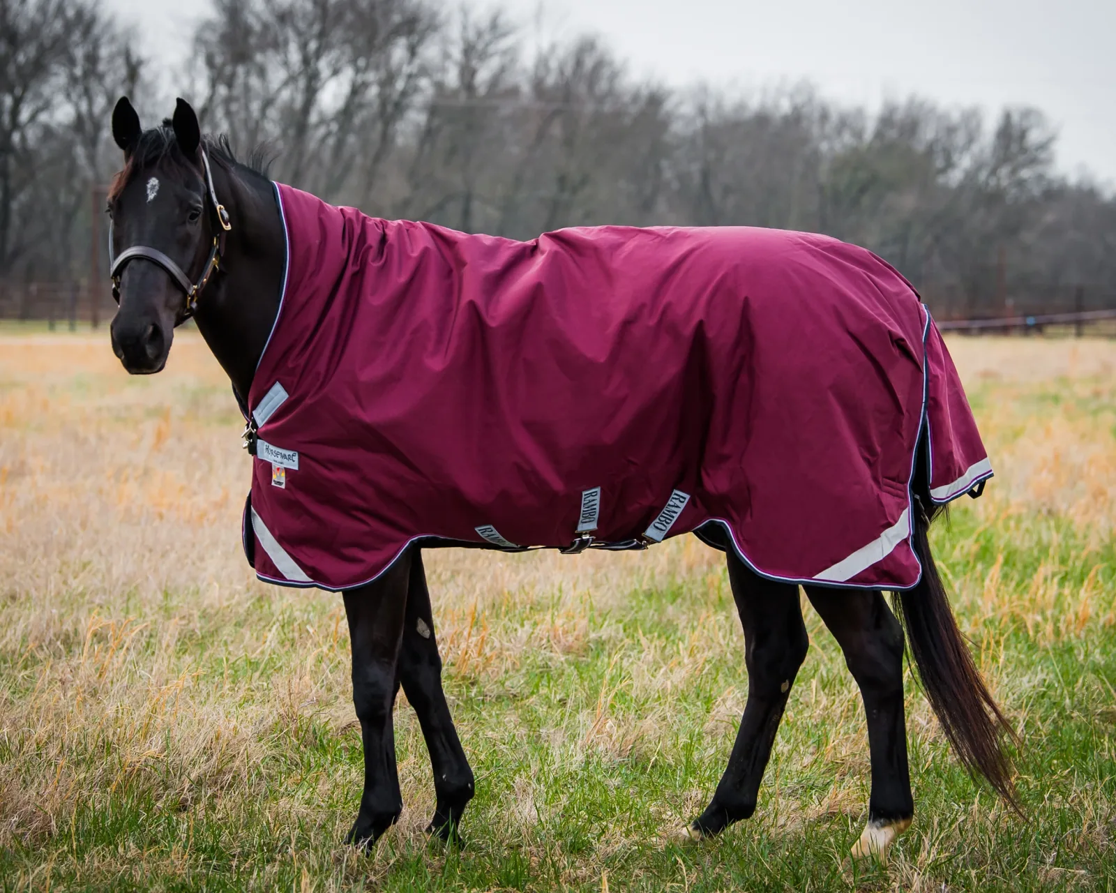 Horseware® Ireland Rambo® Wug Lite Turnout Blanket with 50 grams - Image 2
